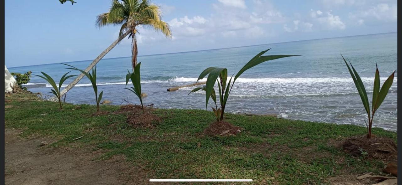 Casa Peace Haven Beach House Aguada Buitenkant foto